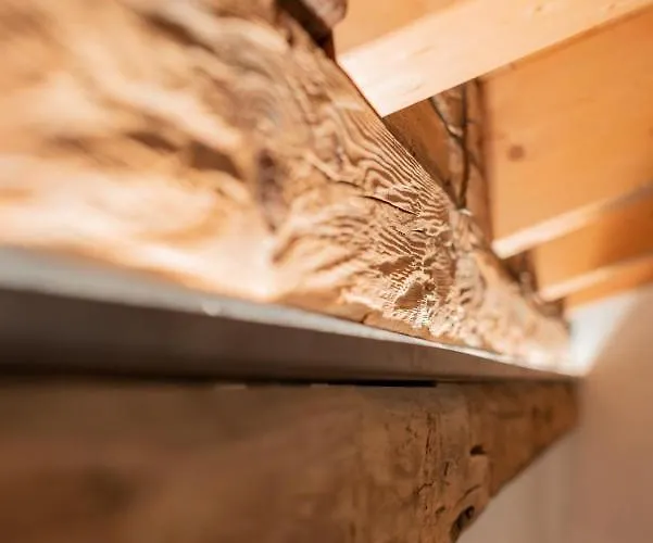 Pista Stelvio Loft Lumiere Appartement