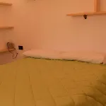Pista Stelvio Loft Lumiere * 博尔米奥